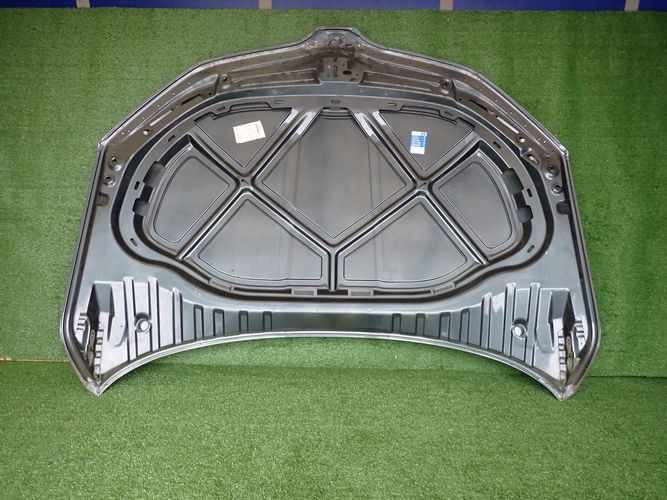 фото №13, Skoda octavia iii рестайлинг 17- капот