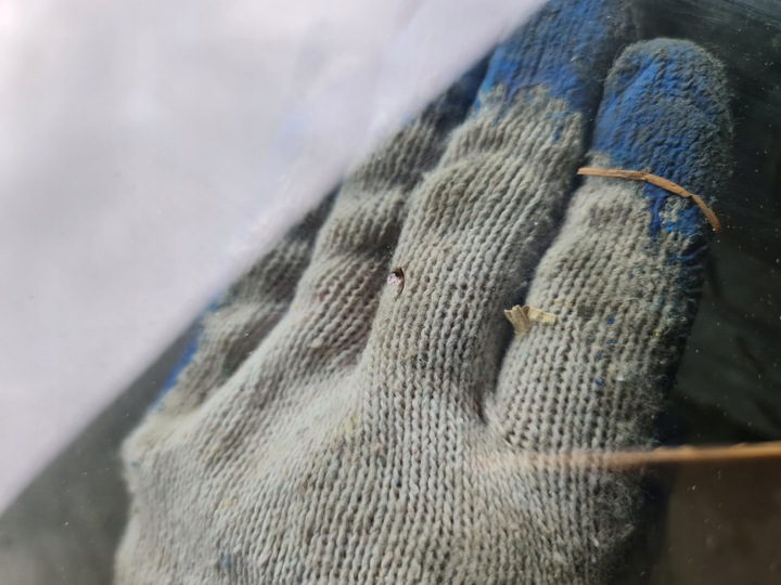 фото №7, Стекло лобовое акустический 2008r audi a8 d3 guardian