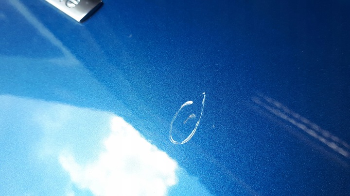 фото №14, A4 b8 s4 крыло правые перед переднее lx5v org