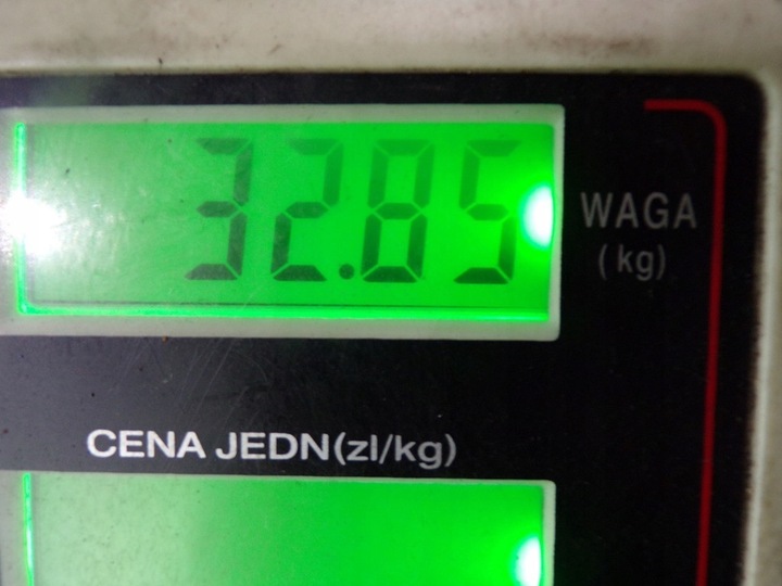 фото №10, Mercedes w210 міст задній диференціал диференціал 3.46 r1243513008