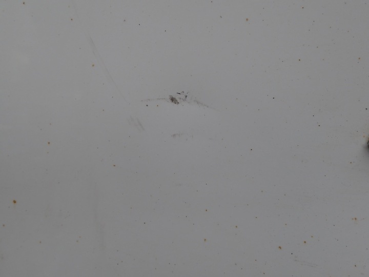 фото №4, Дверь левая передние левый перед ford kuga mk2 ii