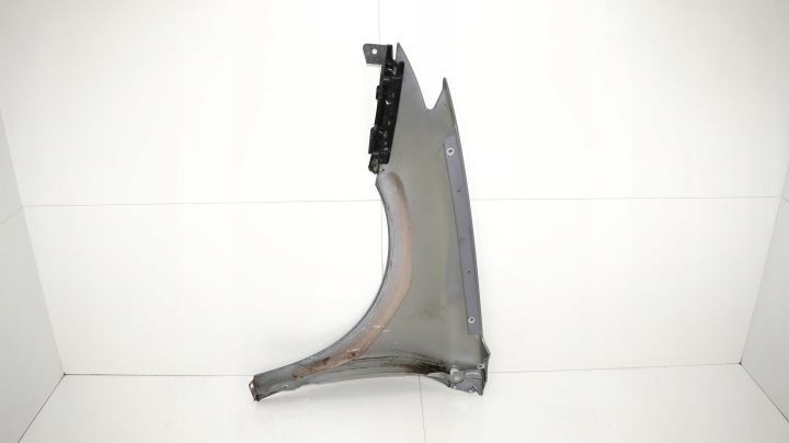 фото №8, Крило праве перед renault laguna iii 07-10r ternr