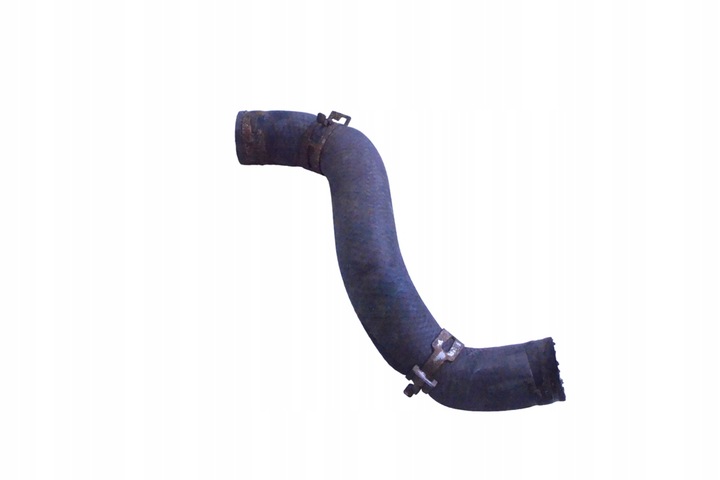 фото №5, Шланг жидкости охлаждающей toyota prius w3 1.8 h 2010 rhd