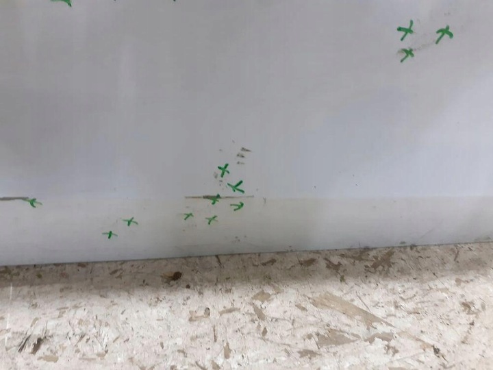 фото №8, Дверь передние перед правые skoda octavia iv 4 5e3 2020-