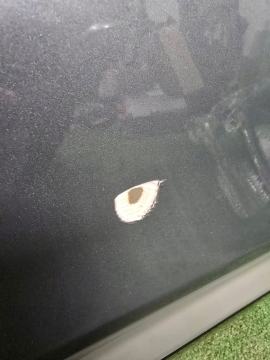 фото №6, Двері праві зад audi q4 e-tron 89a