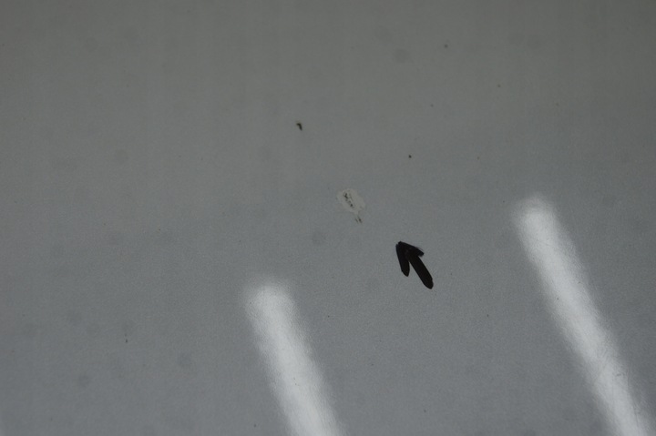 фото №12, Mitsubishi outlander ii рестайлінг капот колір w13 комплектна