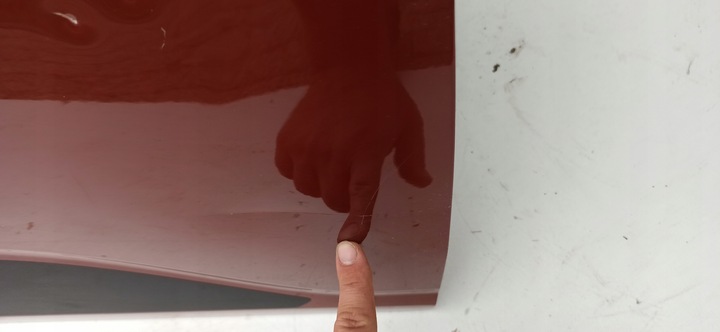 фото №7, Dacia sandero iii 3 2020- двері праві перед 801b04953r