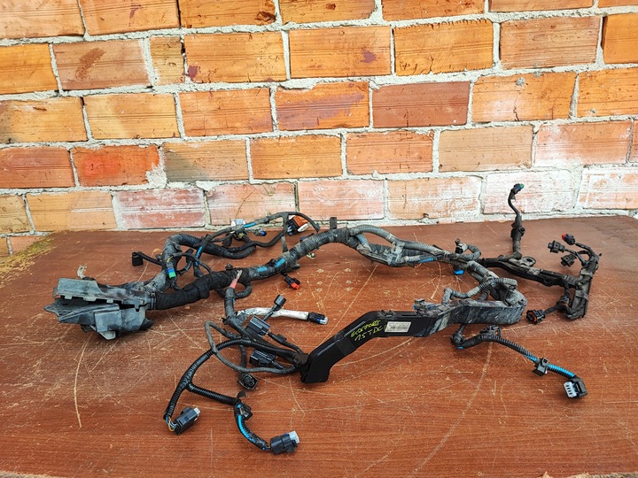 фото №10, Ford ecosport 2 1.5 tdci джгут двигуна установка