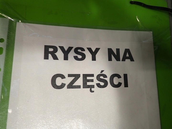 фото №8, Капот крышка двигателя vw sharan i рестайлинг lb7z 02r