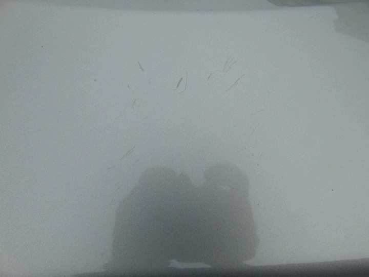 фото №9, Крыло левые перед передний skoda fabia 2 ii roomster европа