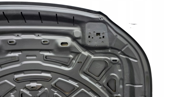 фото №9, Капот volvo xc40 17r- 31416875