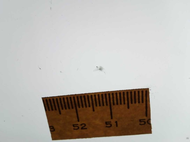 фото №4, Стекло лобовое передняя bmw ix i20 2021- камера датчик солнечный hud оригинальная