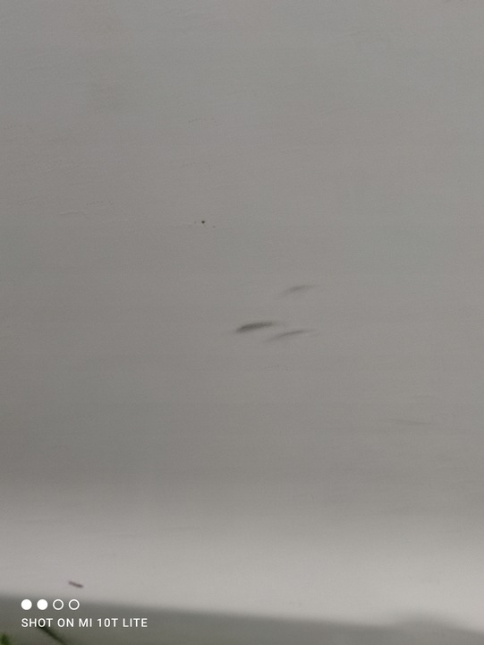 фото №12, Peugeot 308 ii t9 hb двері ліві lub праві зад kwed