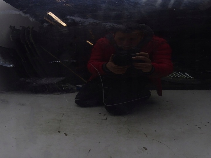 фото №8, Дверь левая левый перед audi a6 c7 4g sedan lz9y