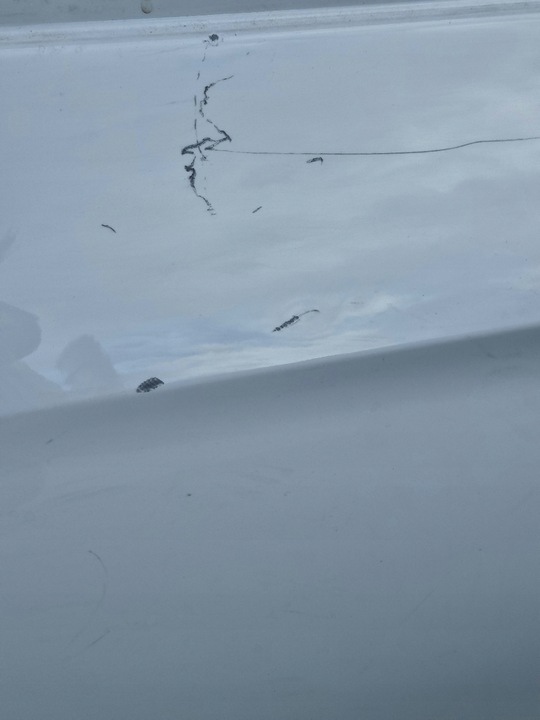 фото №4, Mg4 ev двері праві задні зад