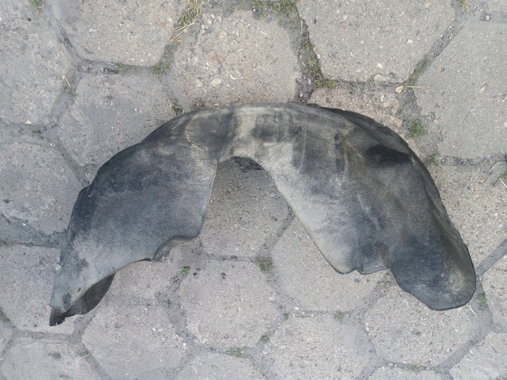 фото №3, Audi оригінальний номер 8s0810172