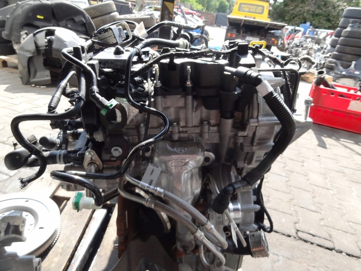 фото №6, Ford transit courier iii mk3 2024 1,0 ecoboost двигатель b7nb оригинал