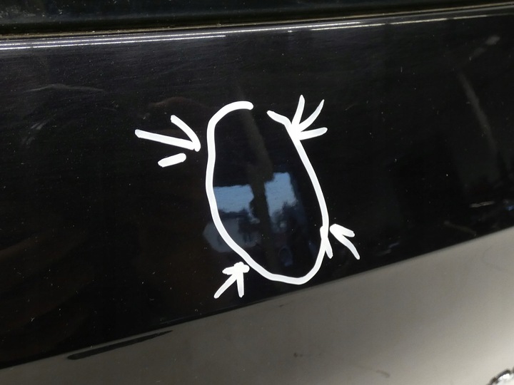 фото №8, Кришка багажника зад задня з скло vw passat b8 універсал код lc9x