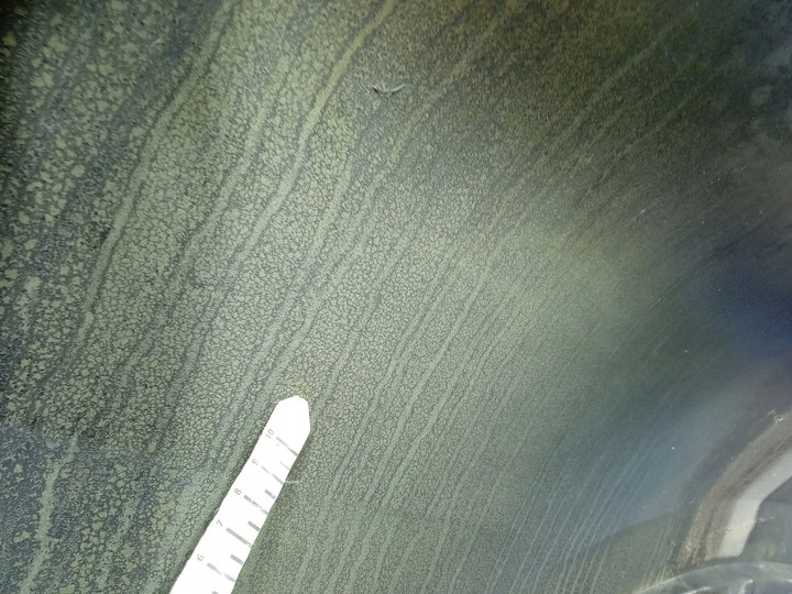 фото №14, Bmw x5 g05 крило перед лівий переднє 416 карбон-чорний