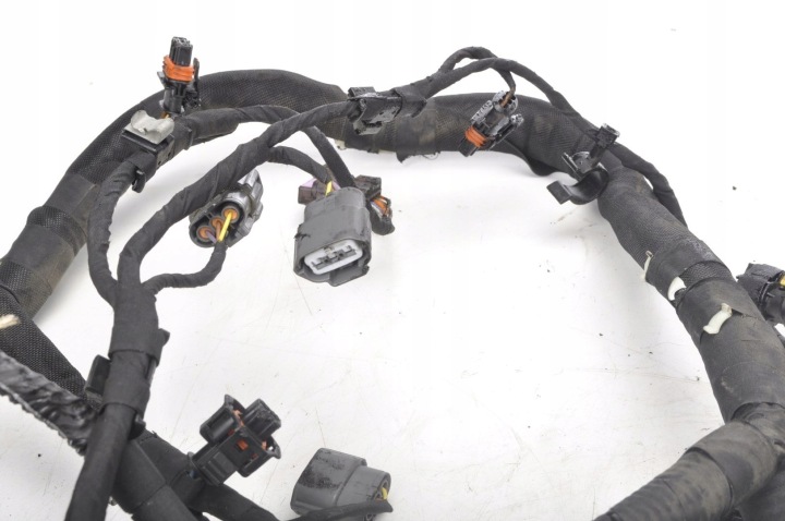 фото №12, Mclaren 650s 3.8 жгут камеры двигателя 11m2171cp.02 p110003 11m0410cp.04