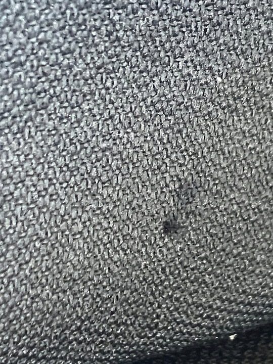 фото №6, Спинка сидіння пасажира праві перед citroen c4 picasso ii