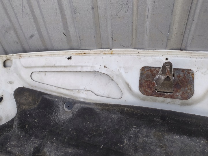 фото №10, Капот ford transit mk7 vii 06-13 біржа pń