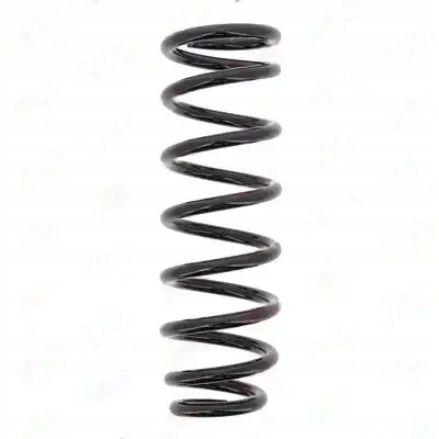 фото №1, Пружина подвешивание rg6541 kyb