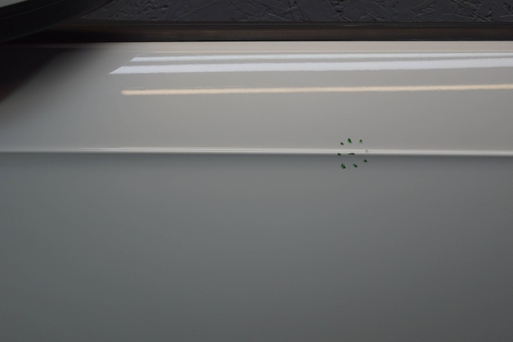 фото №7, Audi a3 8v sportback дверь левый перед ly9c d1528