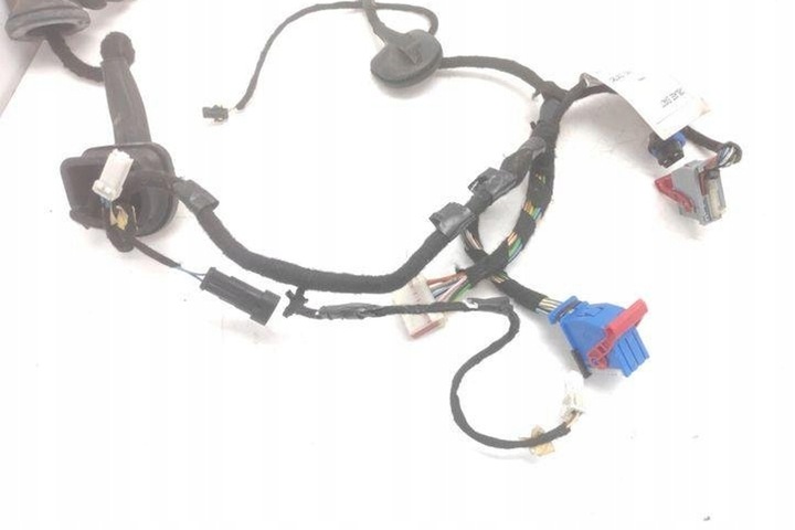 фото №7, Джгут передніх лівих двері fiat scudo flatbed 220_ 50504226 2.0l