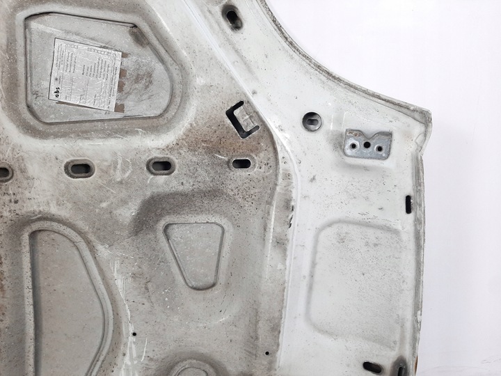 фото №12, Renault kangoo експрес рестайлінг 05r капот код 0389