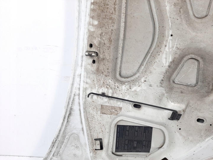 фото №14, Renault kangoo експрес рестайлінг 05r капот код 0389