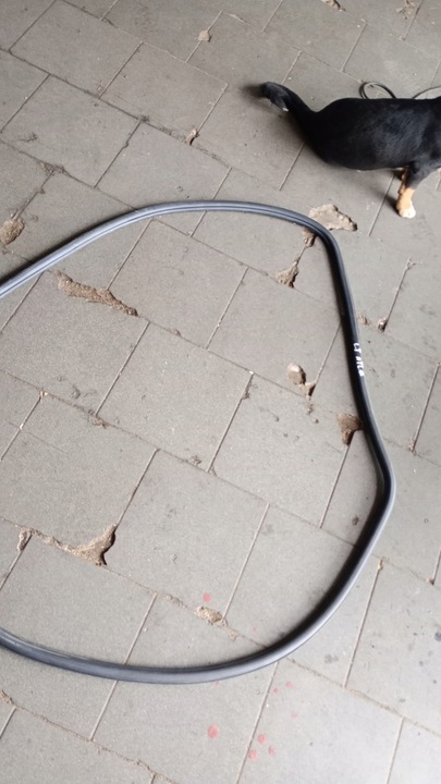 фото №3, Volkswagen atlas прокладка двері лівий зад