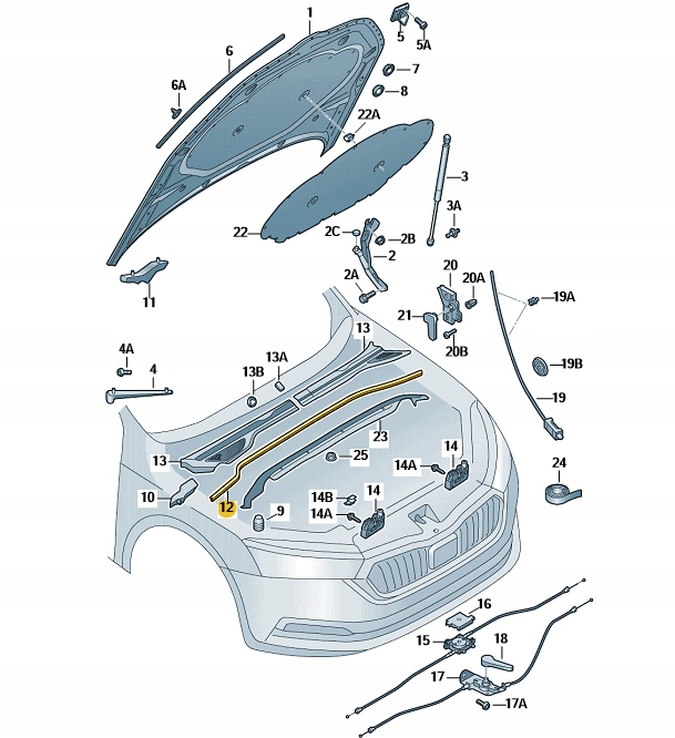 фото №1, Новая прокладка подкапотное пространство pod капот skoda octavia iv 4 5e3823723