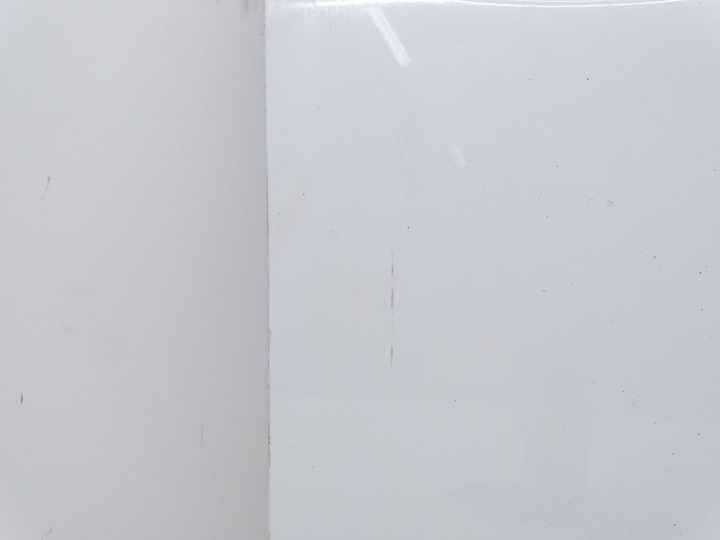 фото №7, Двері праві праві перед audi a6 c6 4f рестайлінг ly9c