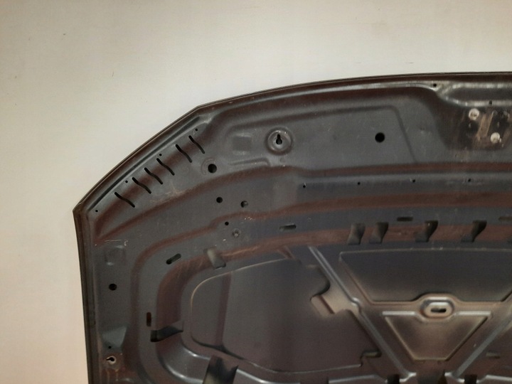 фото №11, Volkswagen tiguan ii 16-24 капот передня перед кришка двигуна na823155f