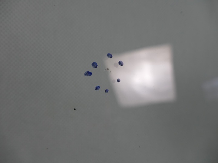 фото №8, Toyota rav4 ii рестайлинг стекло лобовое передняя перед