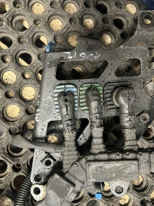 фото №12, Жгут провод двигателя j3c daf xf 106 440 mx-11 1973732