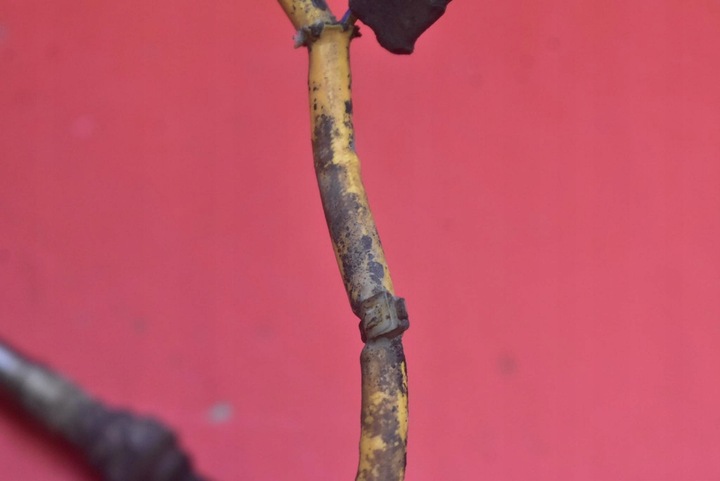 фото №10, Лямбда-зонд lza07-md2 mazda 6 1 i gg 2.0 16v 147 km 05-07