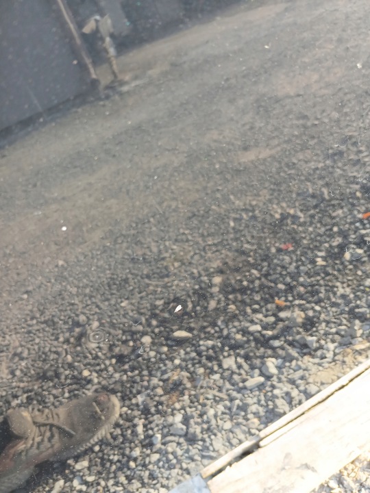 фото №6, Audi a3 8p рестайлінг 08- капот кришка двигуна чорна lz9y