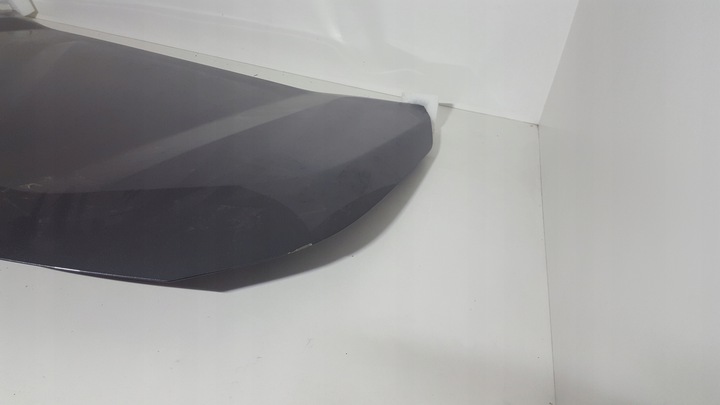 фото №8, Toyota rav-4 19- капот колір 1g3