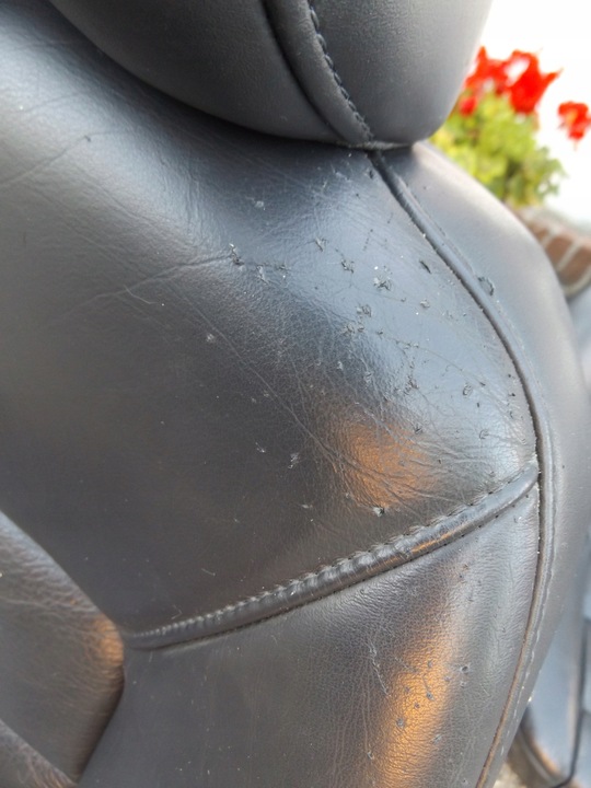 фото №11, Volvo v70 iii сиденья кожа обшивки европа комплект