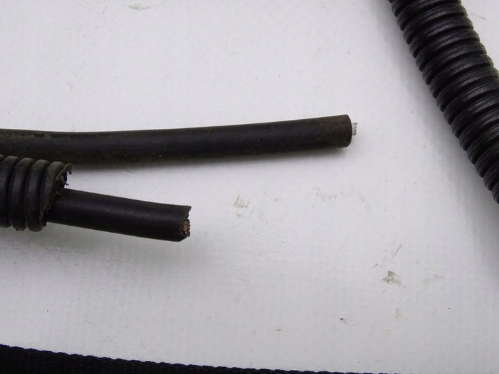 фото №5, Daf lf 45 55 4.5 e4/5 06-13 джгут рами бак