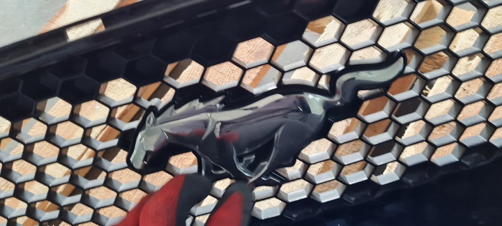 фото №13, Mustang vi рестайлинг gt решётка радиатора решётка бампера перед jr3b-8200-dew