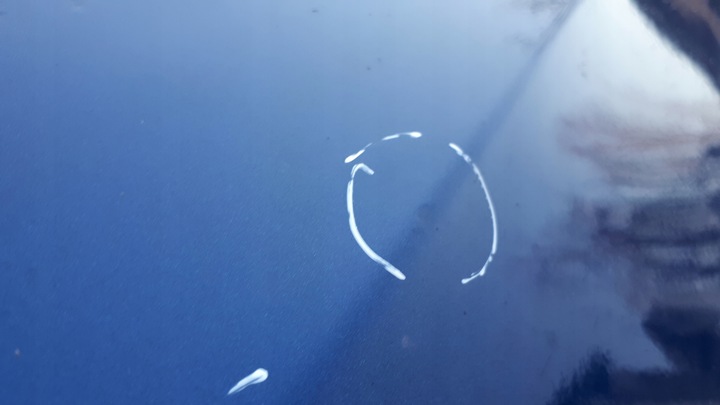 фото №12, A4 b8 s4 рестайлинг дверь правые перед передние lx5q