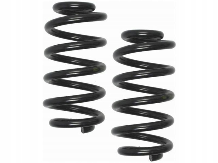 фото №1, Пружины зад lesjofors 4204251