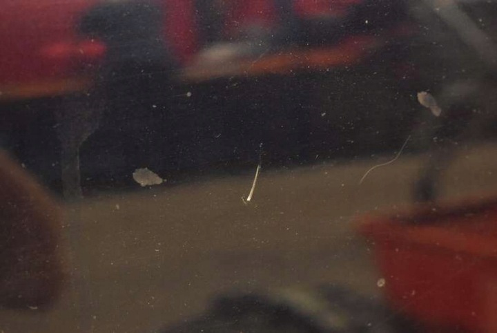 фото №8, Дверь правые зад задние b-536p honda civic 8 viii sedan 05-08