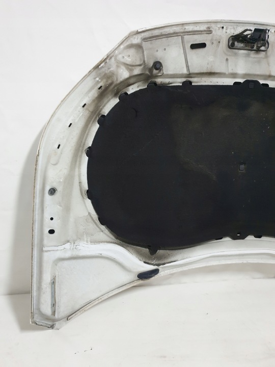 фото №12, Vw volkswagen tiguan 5n0 07-15 капот кришка двигуна перед lb9a