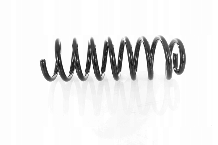 фото №1, Пружина зад