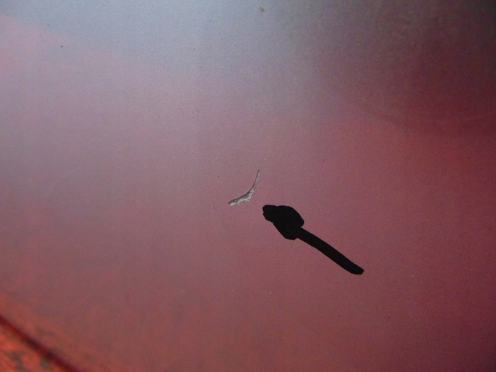 фото №11, Mini countryman cooper r60 крышка багажника b12