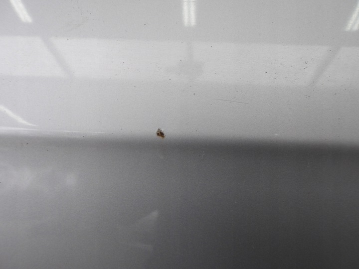 фото №6, Passat b6 універсал двері передні i задні праві la7w